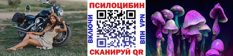 Псилоцибиновые грибы GOLDEN TEACHER Ступино