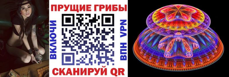 KRAKEN ТОР Ступино Псилоцибиновые грибы ЛСД