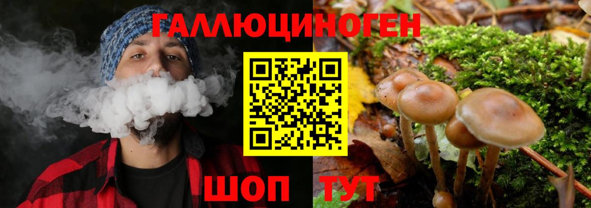 Псилоцибиновые грибы мухоморы Ступино
